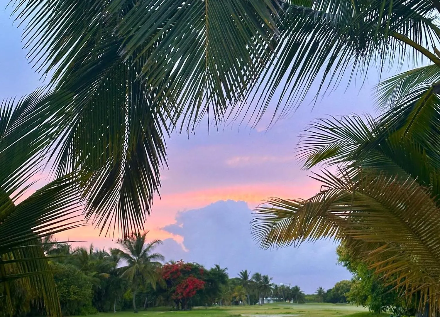 Apartamento Coco Palmera Punta Cana Apartment